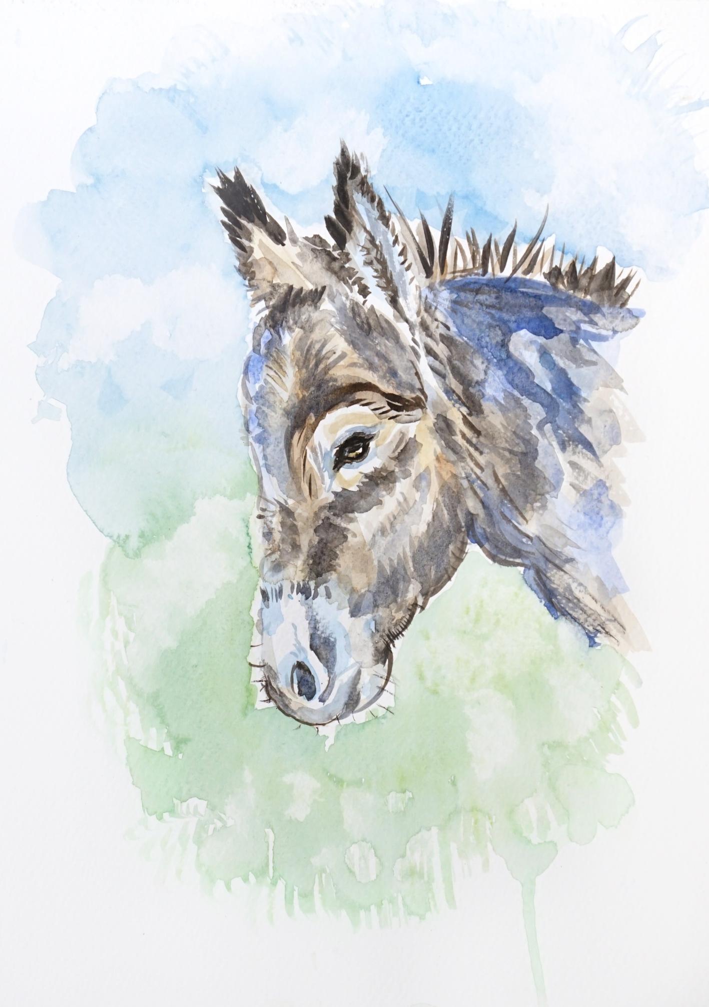 aquarelle âne françois lethorey